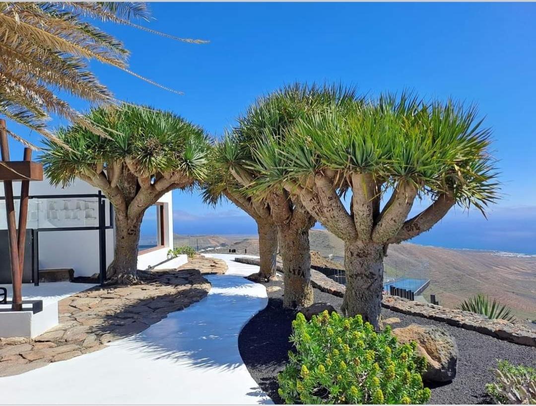 Casa La Tunera, Country House, Haria, Lanzarote Esterno foto